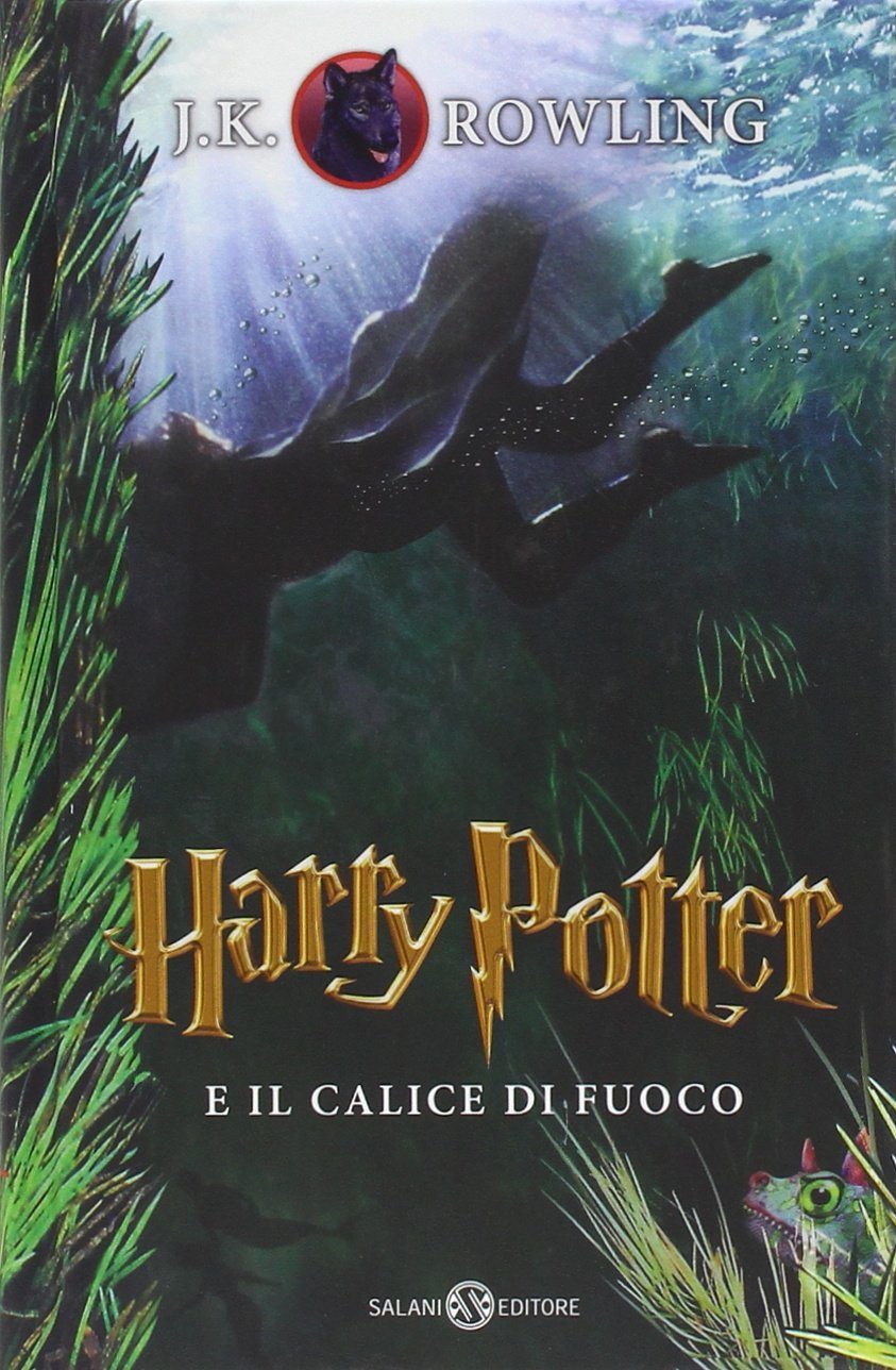 Poster Close Up Di Harry Potter E Il Calice Di Fuoco – 61x91,5 Cm – Con Daniel Radcliffe - 2